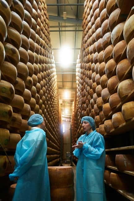 The Art of Parmigiano Reggiano & Aged Balsamic Vinegar - Guides, group size, and the feel of the visit