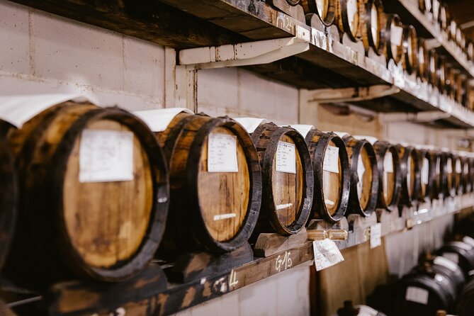 The art of Parmigiano Reggiano and real Balsamic vinegar - Key points to know before booking