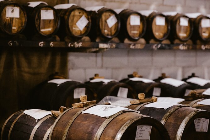 The art of Parmigiano Reggiano and real Balsamic vinegar - Guides who make the technical details easy