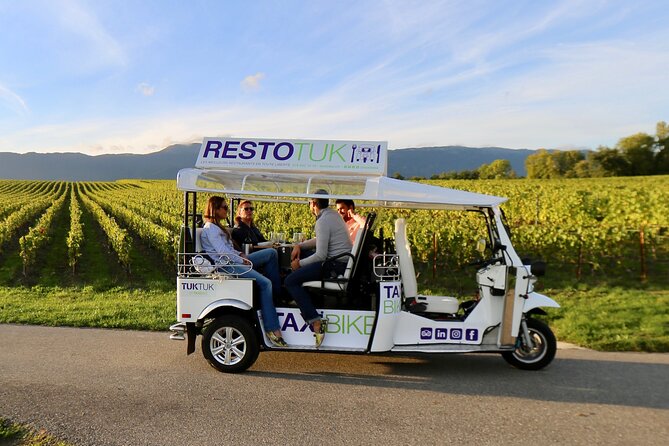 The Private Tuk Tuk Tour with one of The Best Fondues in Geneva! - The Flower Clock and the Rhône connection