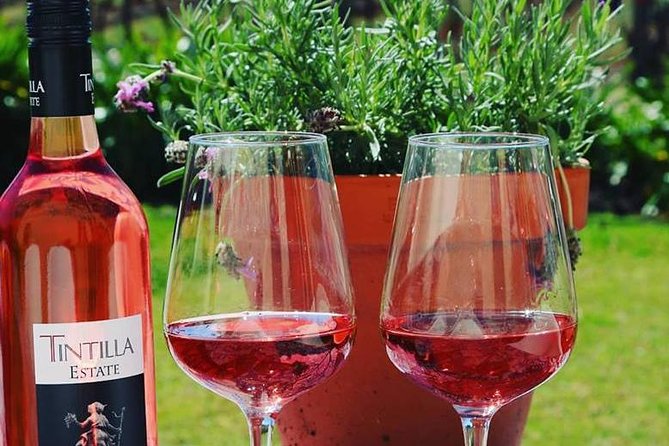 Tintilla Estate: Wine Tasting with a Meat and Cheese Platter - The platter is more than a token snack