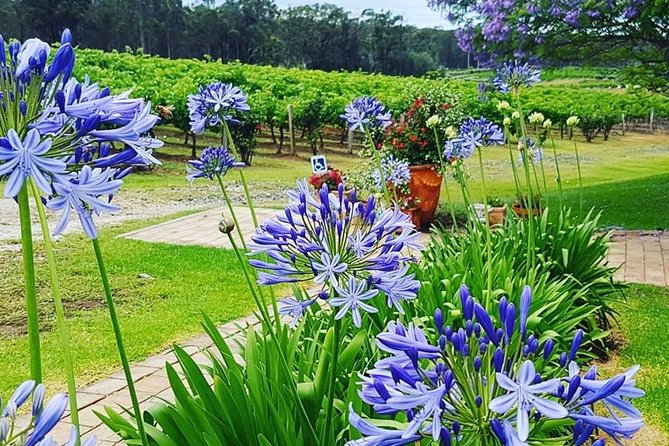 Tintilla Estate: Wine Tasting with a Meat and Cheese Platter - The deck, the view, and the weather