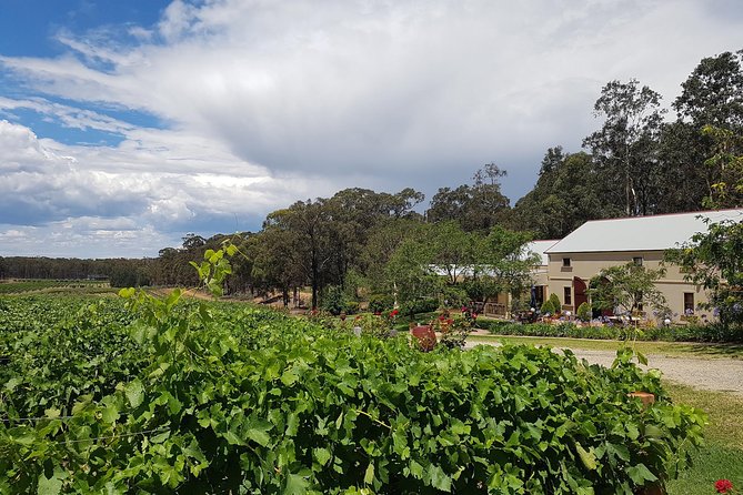 Tintilla Estate: Wine Tasting with a Meat and Cheese Platter - Eight wines, explained one at a time