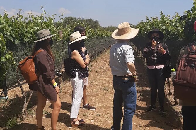 Tour of the Tradition and History of Cheese and Wine in Querétaro - What the price includes in practical terms