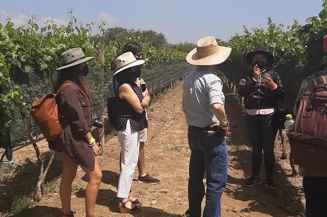 Tour of the Tradition and History of Cheese and Wine in Querétaro - The guide makes a difference