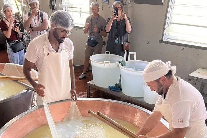 Tour Parmigiano Reggiano dairy and Parma ham - What the guides add to the day