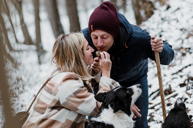 Truffle Hunting and Cheese, Truffle & Wine Tasting near Alba - Key points at a glance