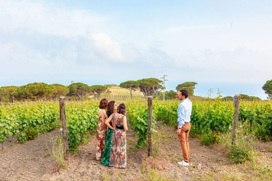 Tuscany: Ripalte Design Winery Wine and Cheese Tasting Tour - Inside Tobia Scarpa’s design cellar