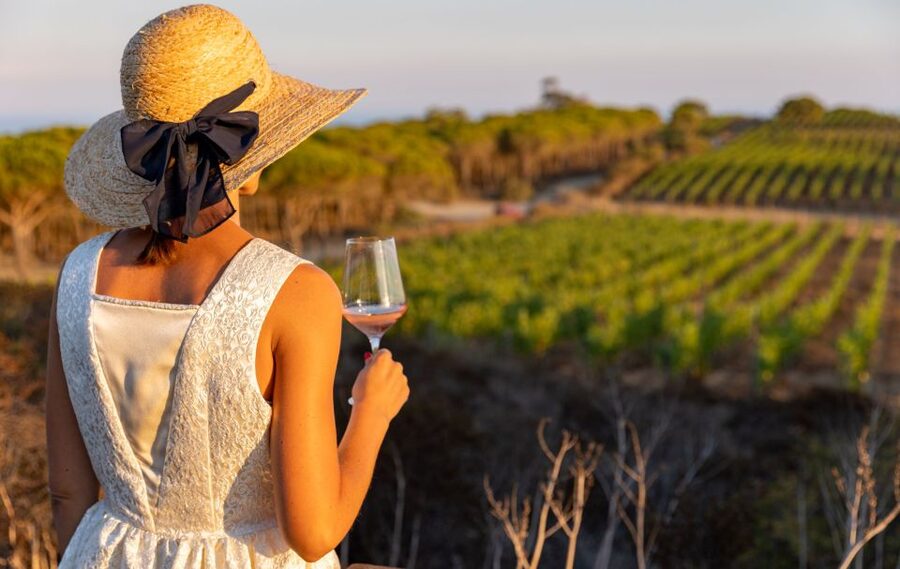 Tuscany: Ripalte Design Winery Wine and Cheese Tasting Tour - What to bring and how to plan the visit