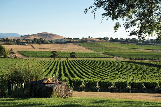 Ultimate Yarra Valley Chandon, Soumah & De Bortoli Cheese & Wine - What the wine program is really like