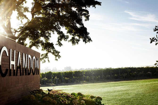 Ultimate Yarra Valley Chandon, Soumah & De Bortoli Cheese & Wine - Who should book this Yarra Valley day?