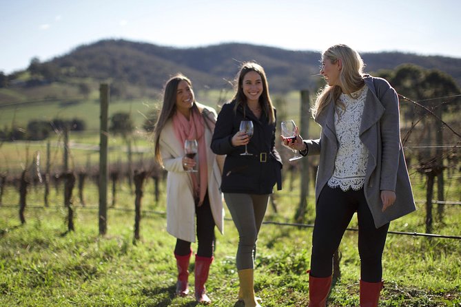 Ultimate Yarra Valley Chandon, Soumah & De Bortoli Cheese & Wine - Should you book it?