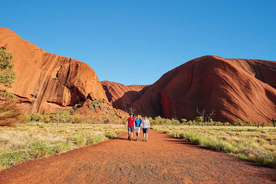 Uluru: Sacred Sites & Sunset Tour with Wine & Cheeseboard - Key points to know before booking