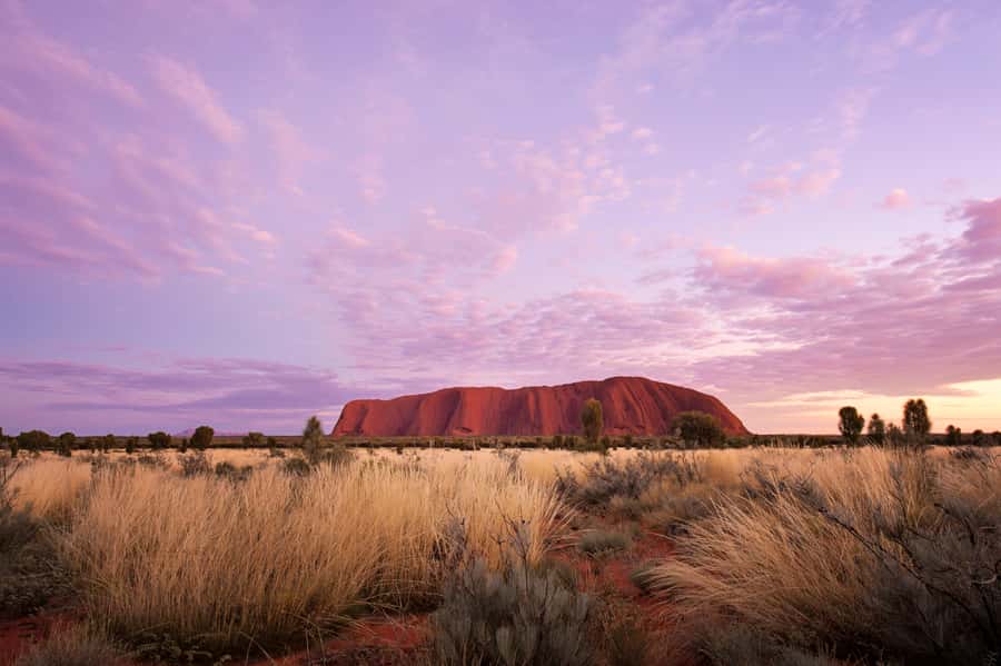 Uluru: Sacred Sites & Sunset Tour with Wine & Cheeseboard - Who should book this experience?