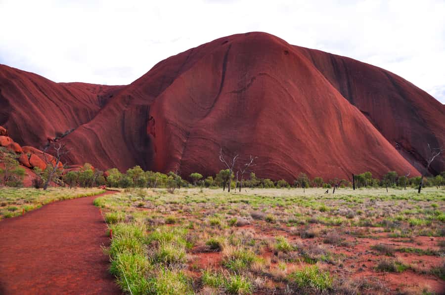 Uluru: Sacred Sites & Sunset Tour with Wine & Cheeseboard - The coach ride around Uluru gives you scale
