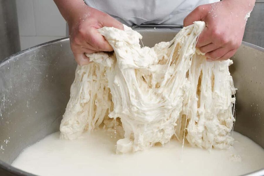 Vico Equense: Tour in the dairy "Mozzarella Experience" - The tasting under the Sorrento lemon trees