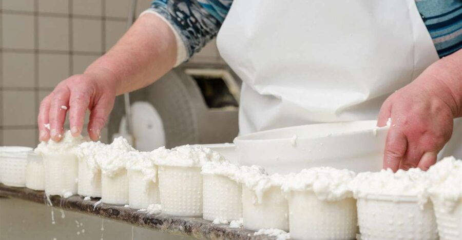 Vico Equense: Tour in the dairy "Mozzarella Experience" - Is $80 per person fair?