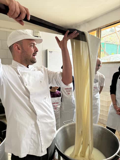 Vico Equense: Tour in the dairy "Mozzarella Experience" - Timing, weather, and practical comfort
