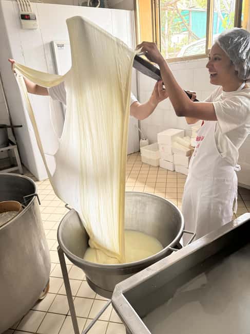 Vico Equense: Tour in the dairy "Mozzarella Experience" - Who should book this cheese experience?