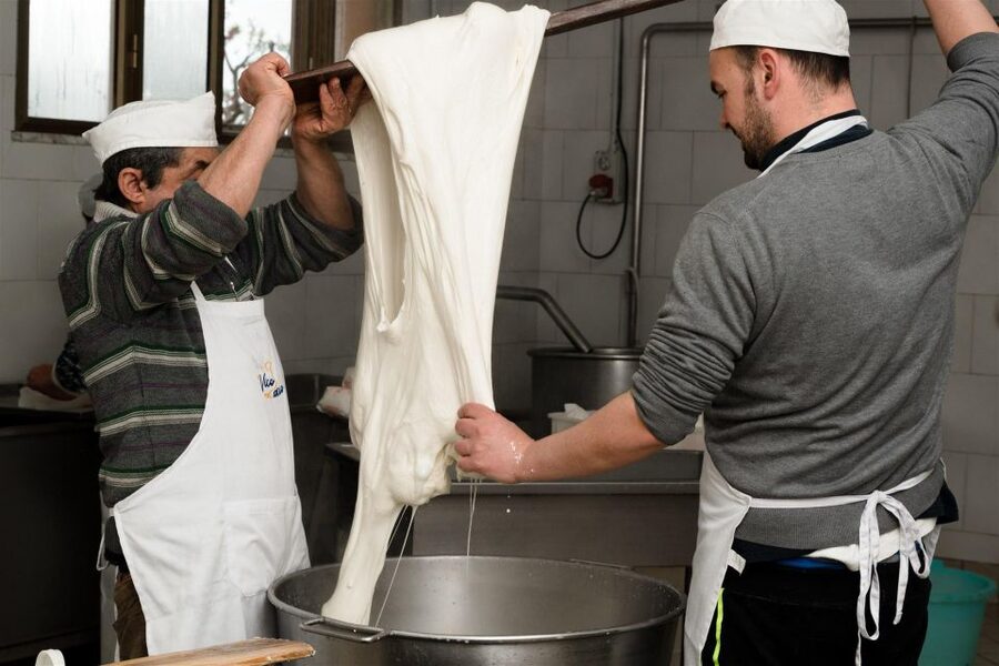 Vico Equense: Tour in the dairy "Mozzarella Experience" - Arriving from Vico Equense station