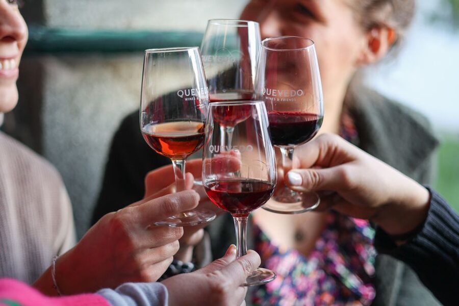 Vila Nova de Gaia: Port Wine Tasting with Cheese Pairing - Who Will Enjoy This Tasting Most?