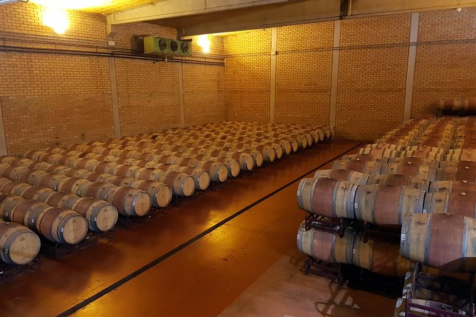 Visit and wine tasting with sausage and BODEGA PIRINEOS cheese - Seeing wine from grape intake to bottle