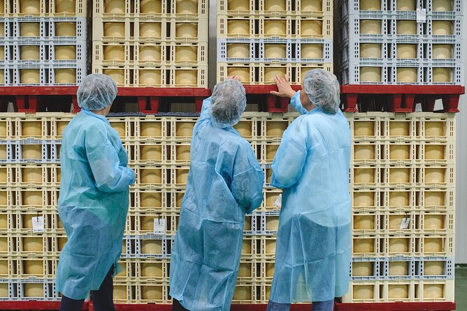 Visit La Antigua Cheese Factory (Cheese Tourism) - Why the shepherding link matters