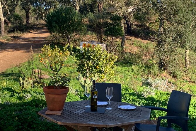 Walk in the Hills with Goat Herder-Local Honey, Wine and Cheese Tasting - A countryside walk with a goat herder