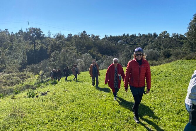 Walk in the Hills with Goat Herder-Local Honey, Wine and Cheese Tasting - Wine, cheese, and honey outdoors