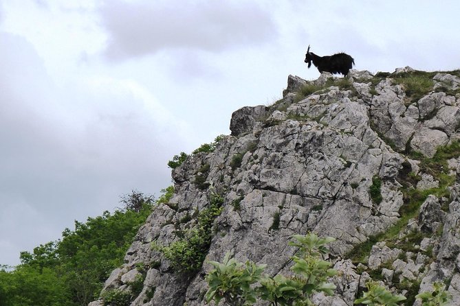 Wells, Cheddar Cheese and Cheddar Gorge - Private Day Trip from Bath - Cheddar Gorge supplies the big outdoor moment