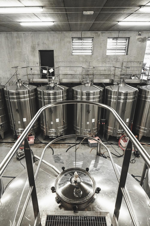 Wine and Cheese experience - Eight Chinon wines, eight cheeses, and room to experiment