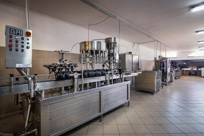 Wine and Cheeses - Four organic wines, tasted at an easy pace