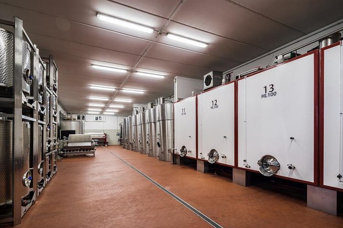 Wine and Cheeses - Who should book this experience