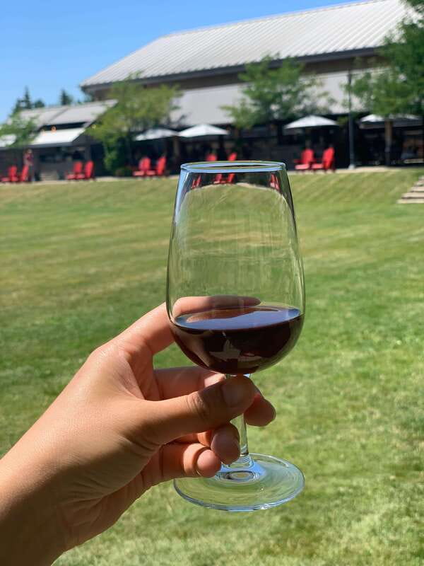 Wine & Cheese Afternoon Wine Tours in NOTL - What the cheeseboard pairing really adds