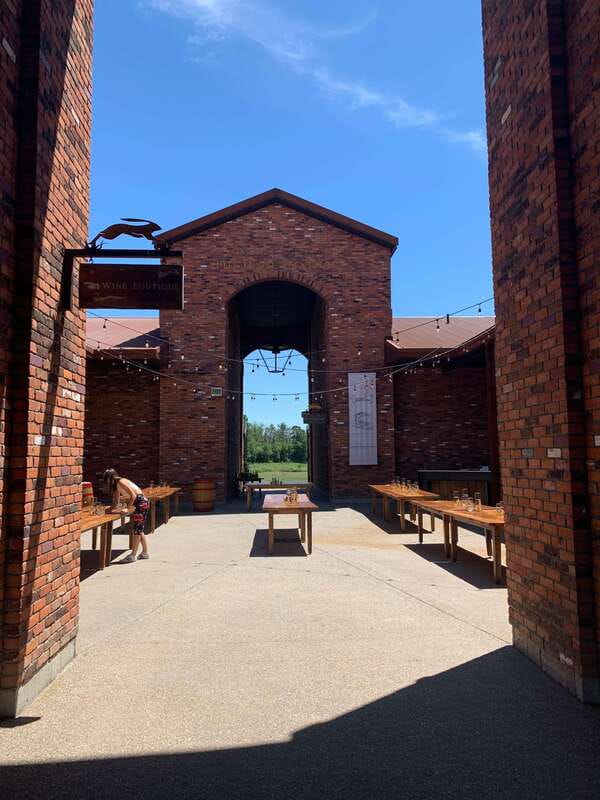 Wine & Cheese Afternoon Wine Tours in NOTL - Who should book this afternoon tour?