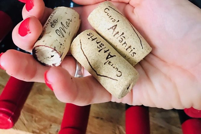 Wine, Cheese & Charcuterie Tasting, including complimentary tour - Arriving at the historic Ponta Delgada setting