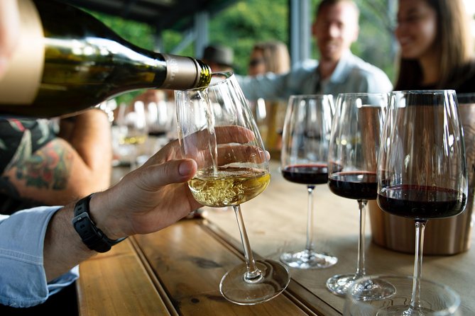 Wine, Cheese & Charcuterie Tasting, including complimentary tour - Six cheeses and the local dairy tradition