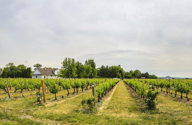 Wine, Cheese, Chocolate 6 Hour Tasting Tour with Lunch - Key points at a glance