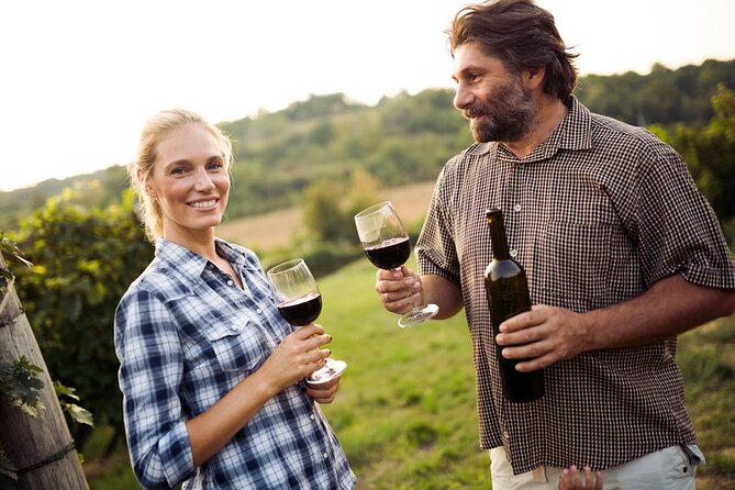 Wine, Cheese, Chocolate 6 Hour Tasting Tour with Lunch - Backup wineries can change the route