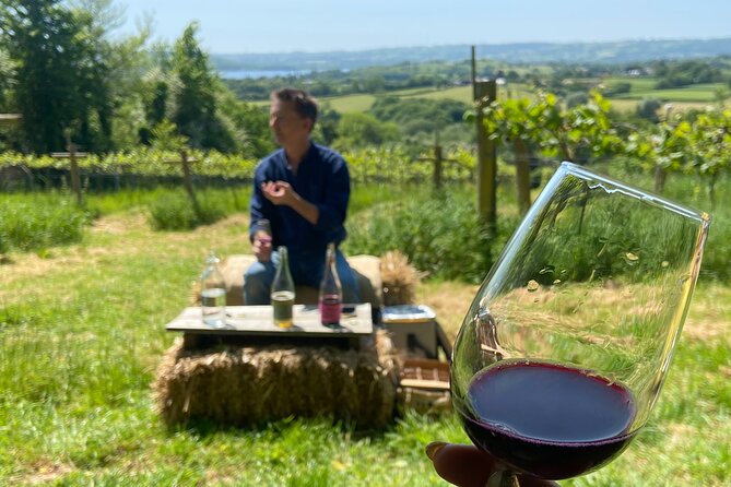 Wine & Cheese in the Somerset Valleys - with Michelin-star lunch! - Limeburn Hill and the views over Chew Valley Lake