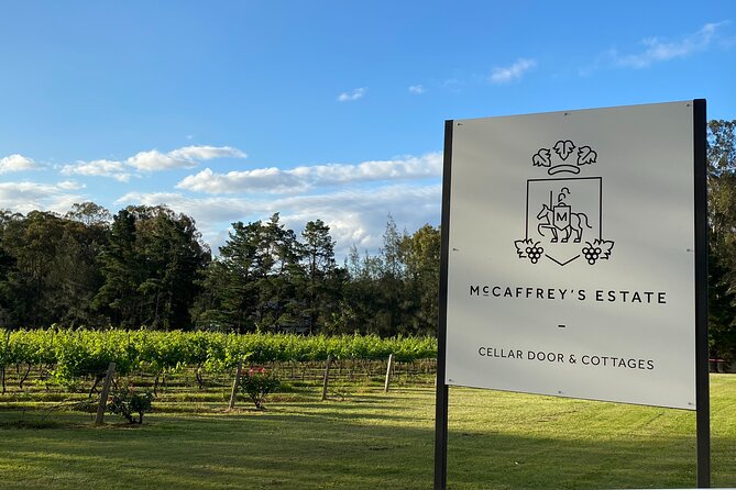 Wine & Cheese Tasting Experience in Hunter Valley - Price and value at $15.42