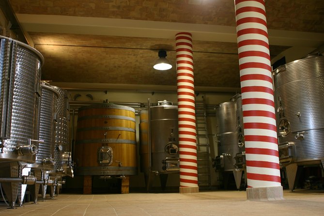 Winery tour and wine, cheese & charcuterie tasting - A Vineyard Visit in the Hills Outside Orvieto