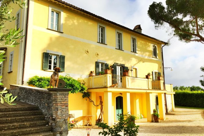 Winery tour and wine, cheese & charcuterie tasting - Walking Among the Vines with Anna or Leon