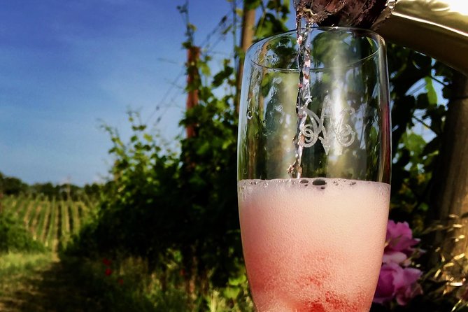 Winery tour and wine, cheese & charcuterie tasting - Is Madonna del Latte Worth Booking?