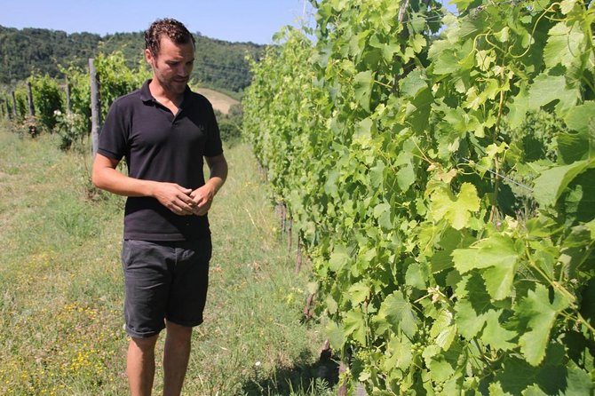 Winery tour and wine, cheese & charcuterie tasting - The Etruscan Tuff-Stone Barrel Cellar