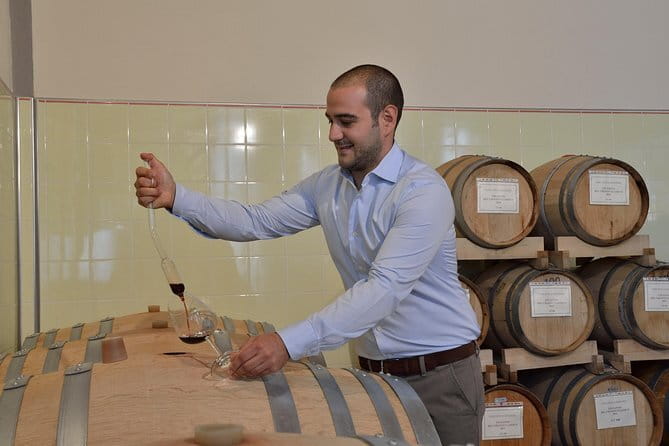 Wines, Cheeses & Bruschettas Tasting in Chianti (Tour at the Winery included) - Four wines, from IGT Toscana to Riserva