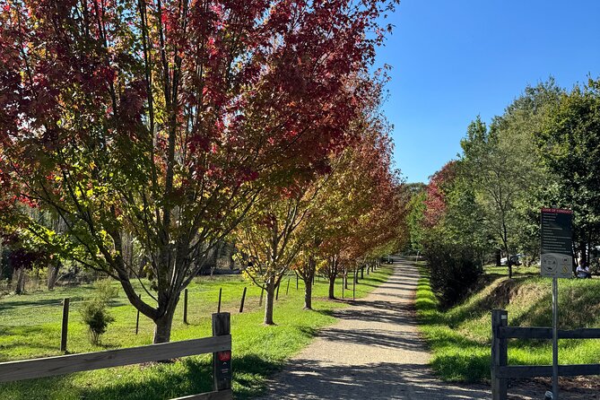 Yarra Valley Foodie Tour, Devonshire Tea, Cheese and Chocolate - What the $142.73 price includes