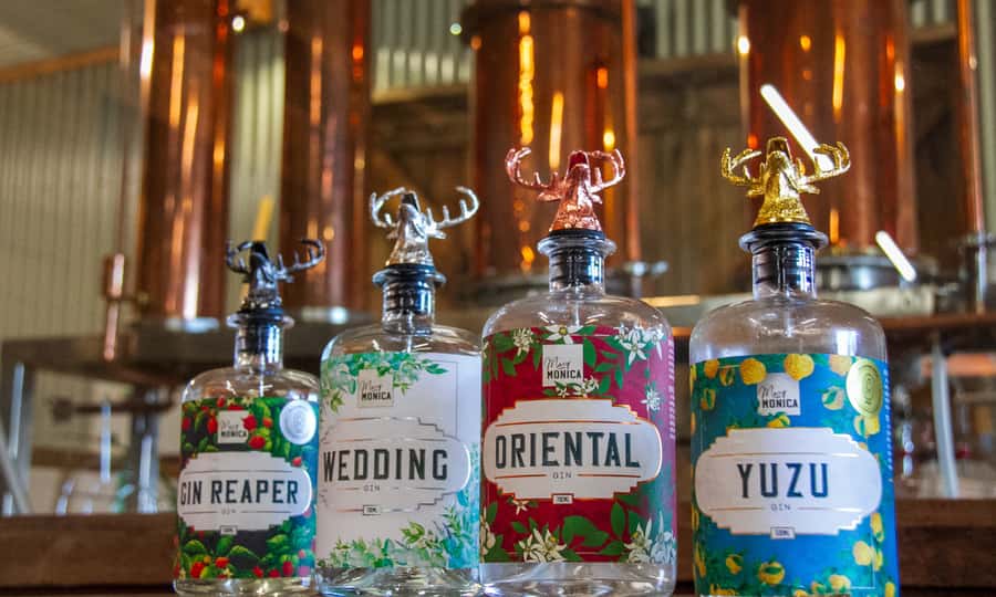 Yarra Valley Full Day Grazing Tour: Gin, Wine, Pizza, Cheese - An hour in Healesville