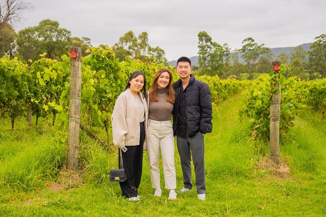 Yarra Valley Grazing Tour Wine, Cheese, Gin, Pizza from Melbourne - Coldstream Dairy and a working farm