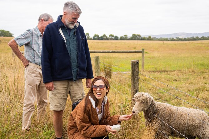 Yarra Valley Grazing Tour Wine, Cheese, Gin, Pizza from Melbourne - Stag Lane Farm Distillery, gin and pizza